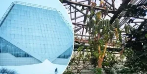 Битва за тропічну зелень: київський ботсад на межі виживання