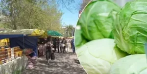 Ярмарки сільськогосподарських продуктів у Києві: розклад на тиждень
