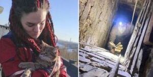 Незвичайний порятунок кота з вентиляційної шахти у Києві