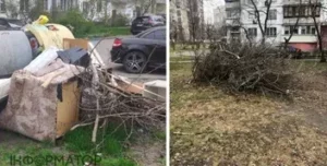 Після обрізки дерев на Оболоні двори тижнями залишаються в гіллі та смітті