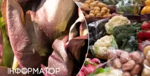 Сільськогосподарські ярмарки в Києві: що очікувати цього тижня