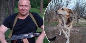 Суперечливі заяви щодо безпритульних тварин: думка Олексія Святогора
