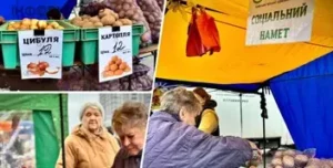 Соціальні намети на ярмарках КП “Світоч”: базові овочі до 50% дешевші за ринок