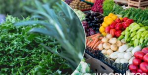 Ярмарковий тиждень у Києві: де шукати фермерські продукти