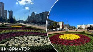 Осінні барви Печерська: нові квітники на площі Лесі Українки