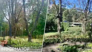 Тіньовий сад у парку імені Івана Багряного: оаза прохолоди на Шулявці