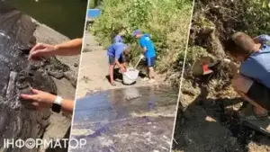 Екологічні наслідки обстрілів: у річці Либідь виявили витік мастила через пошкодження підприємства