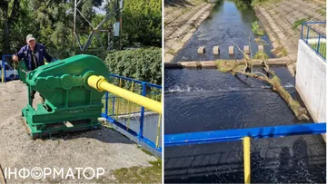 Падіння рівня води та мор риби в річці Ірпінь: що відокремлює два інциденти