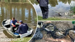 Екологічна катастрофа в Києві: річка Любка стала рожевою та отруїла рибу