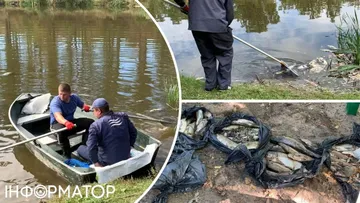 Екологічна катастрофа в Києві: річка Любка стала рожевою та отруїла рибу