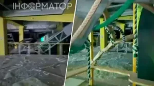Наслідки ракетного удару по ТРЦ Cosmo Multimall у Києві: евакуація зооцентру “Звірополіс”
