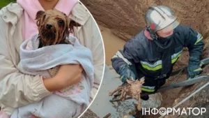 Рятувальна операція на Київщині: як допомогли собаці, що потрапив у глибоку пастку